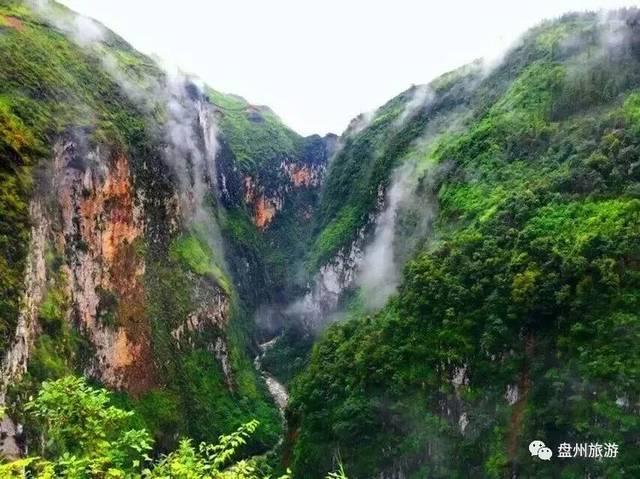 鲜奶运输车找不同